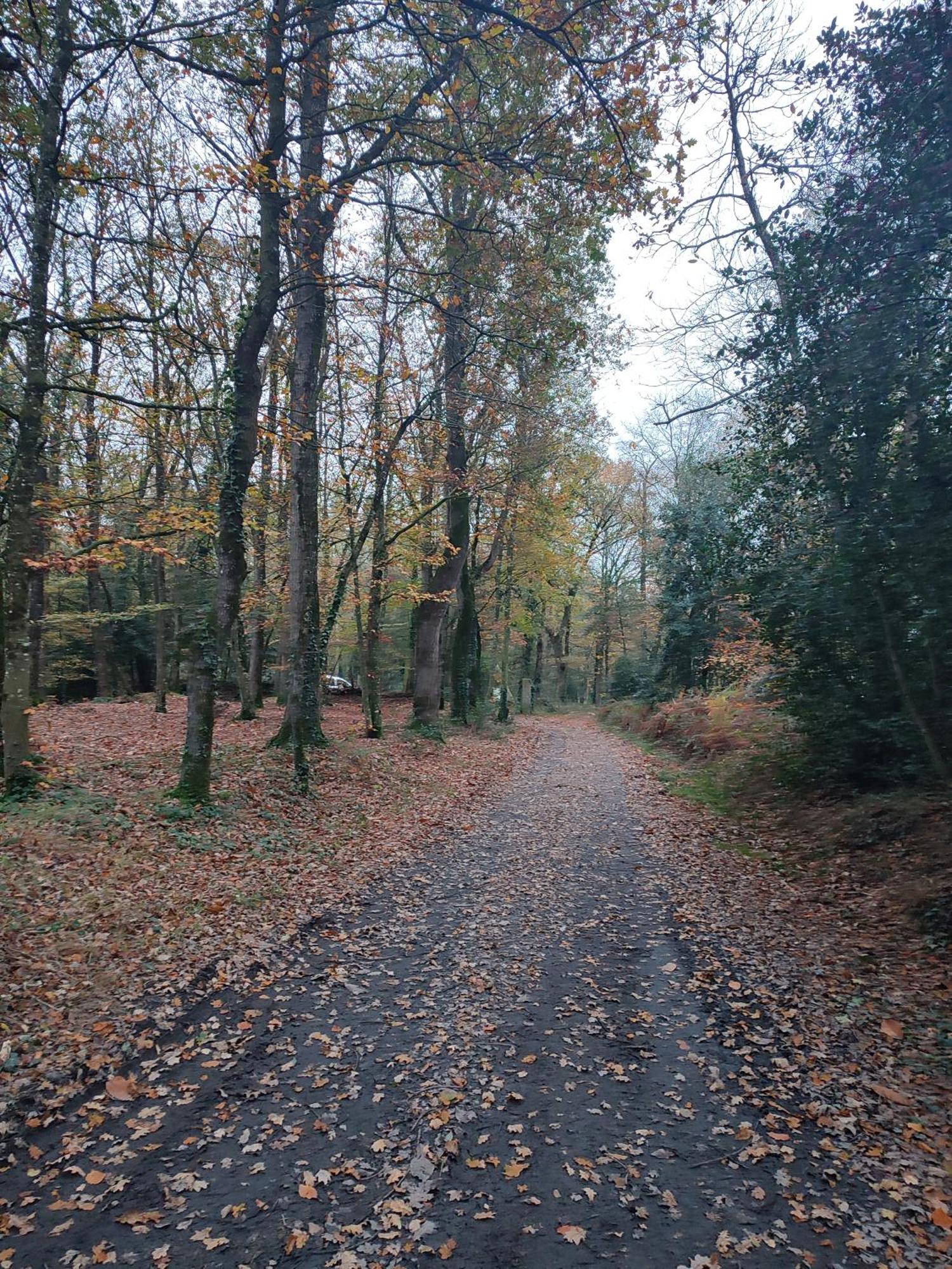 Gite Des Mezieres Brusvily Exteriör bild