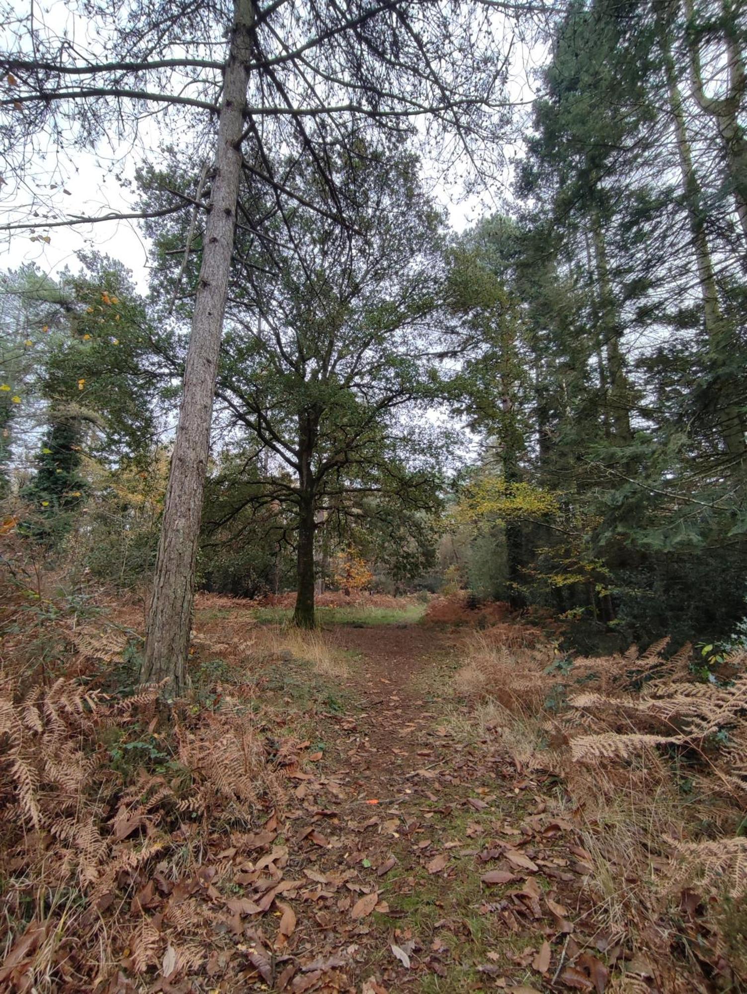 Gite Des Mezieres Brusvily Exteriör bild