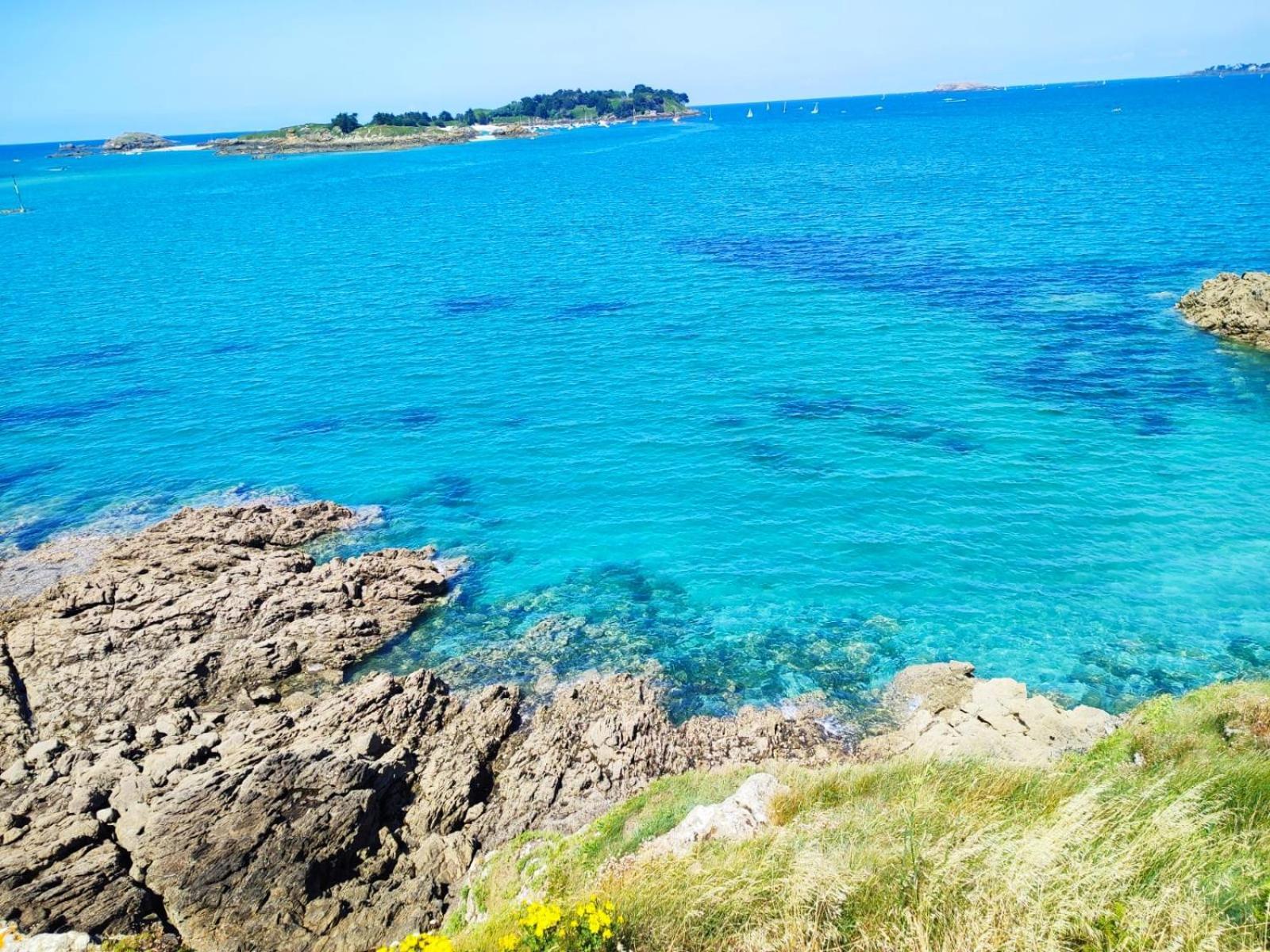 Gite Des Mezieres Brusvily Exteriör bild